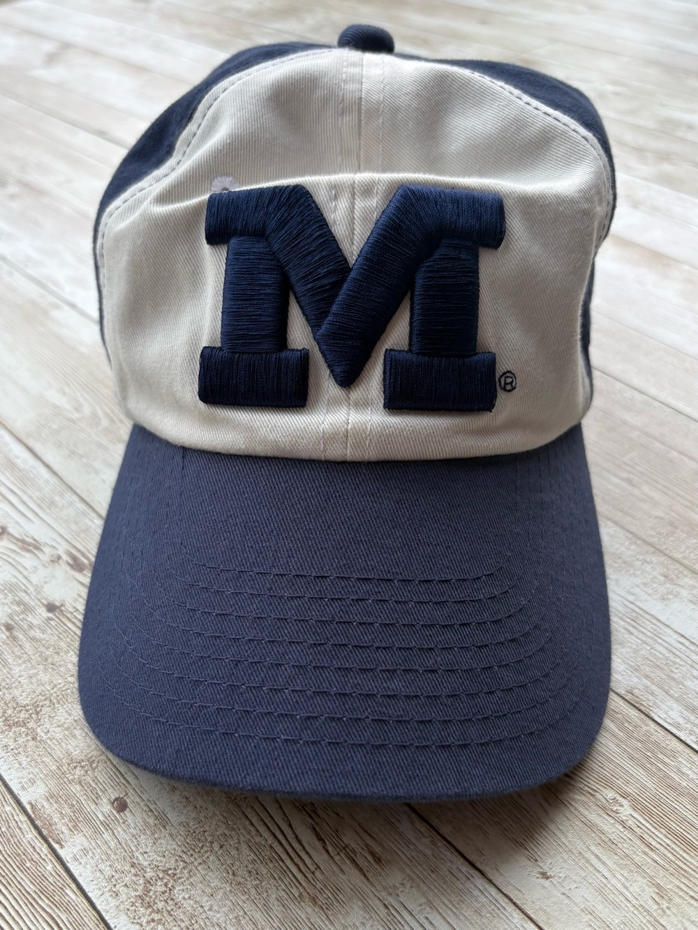 Michigan U of M Adjustable Embroidered Hat